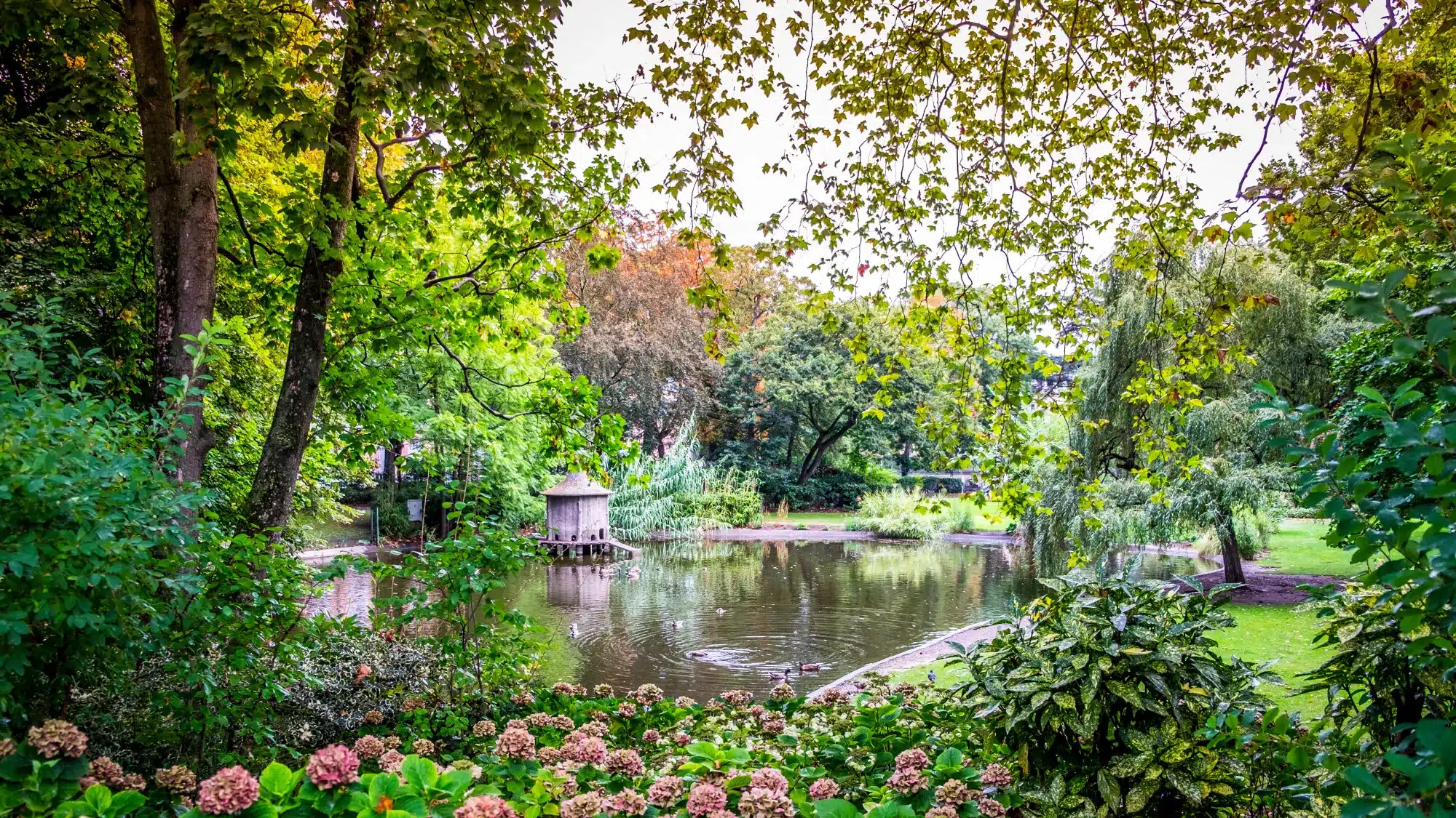 Etudier au Jardin Royal de Toulouse