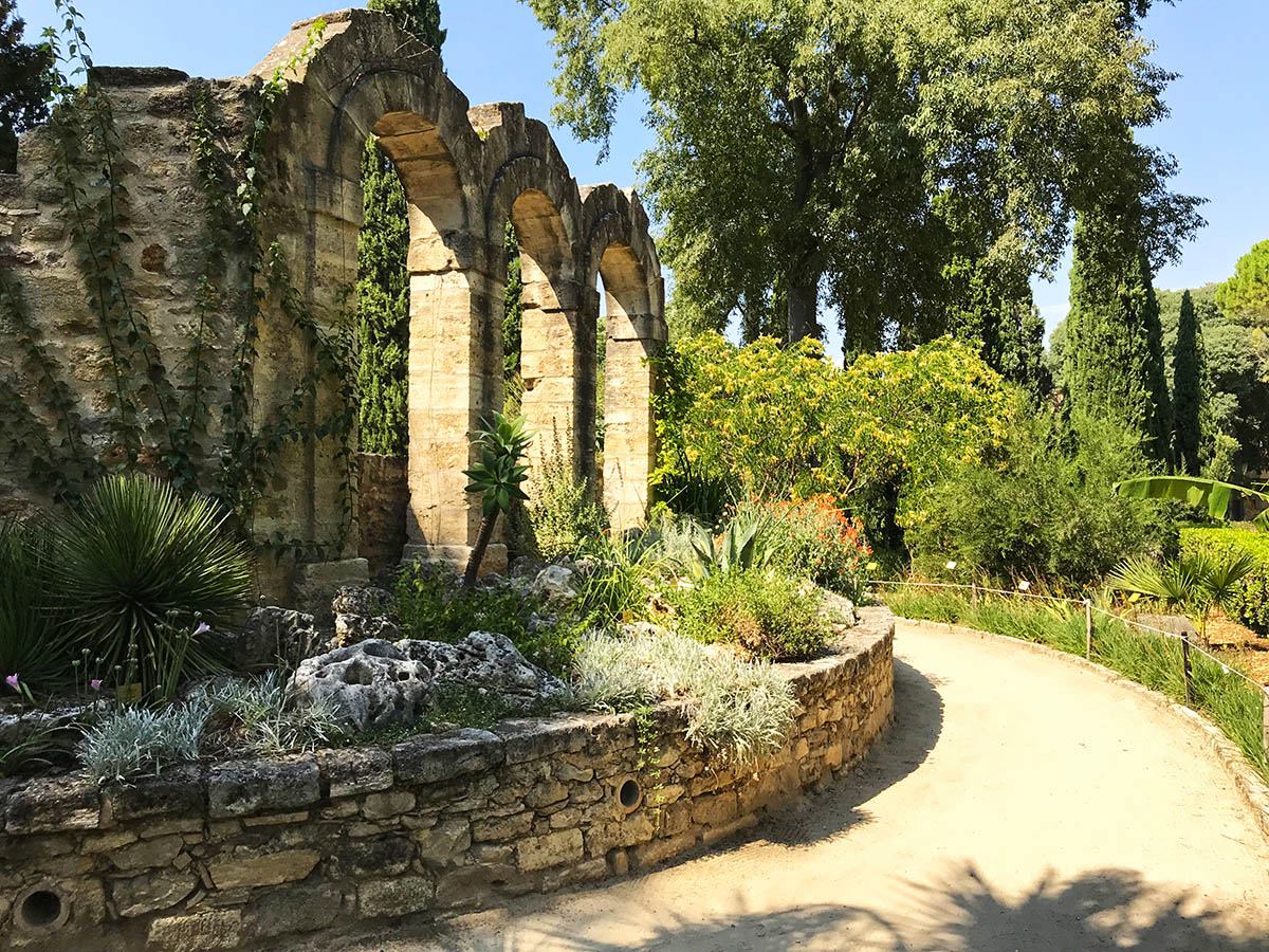Etudier au Jardin des Plantes à Montpellier