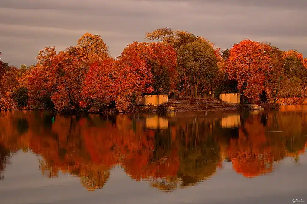 Le Parc de la Tête d'Or à Lyon
