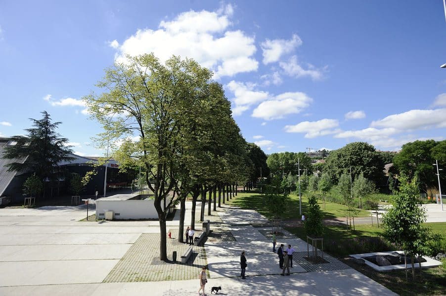 Le Parc François Mitterrand pour faire de l'Urban Training à Saint Etienne