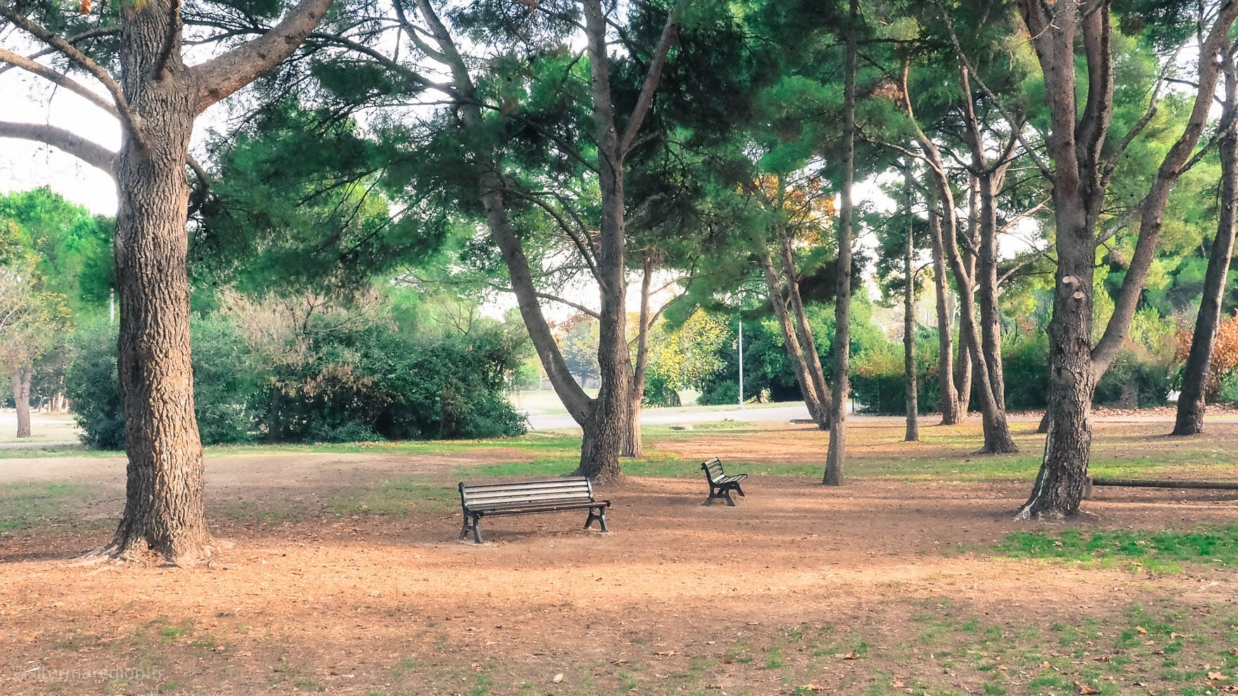 Le parc Montcalm pour faire du sport gratuitement quand on est étudiant à Montpellier